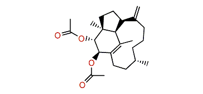 (2R,3R,4S,7R,12S,16S)-Trinervita-1(15),8(19)-diene-2,3-diyl diacetate